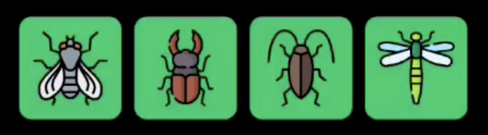 FLIES Daily Combo 7 July 2025